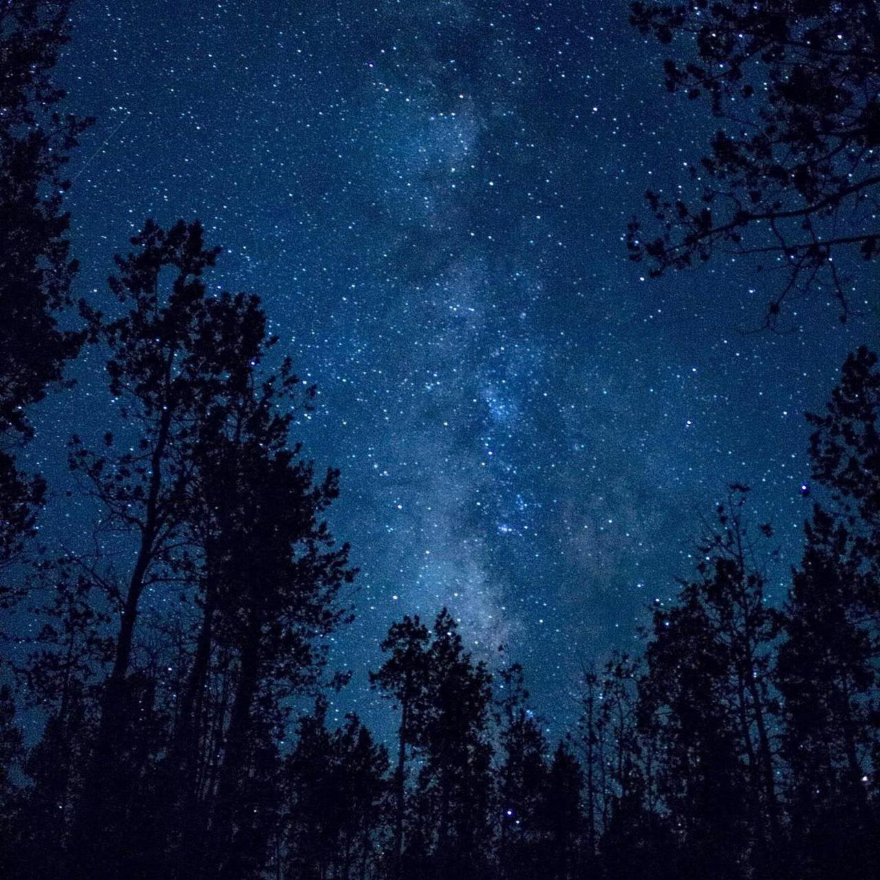 The Milky Way @ Pine Resort Fraser Hill エクステリア 写真